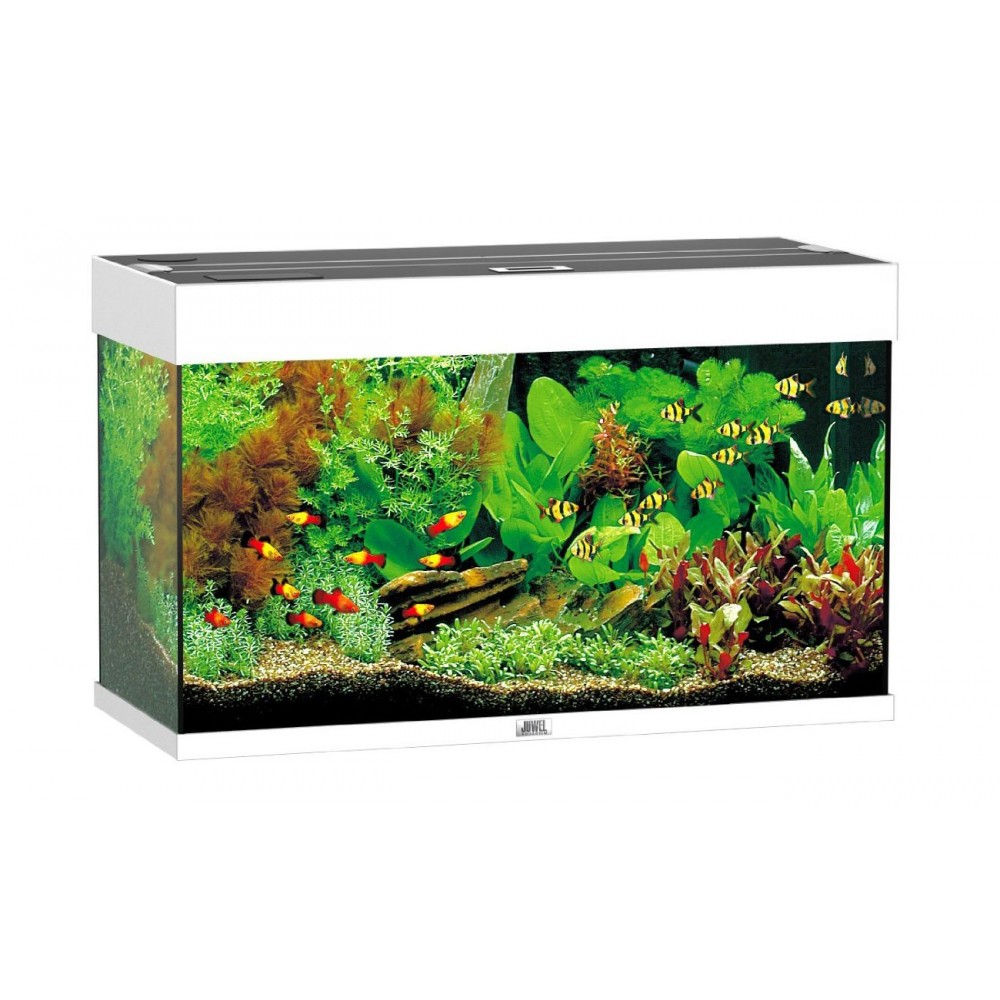 Juwel acvariu rio 125 alb