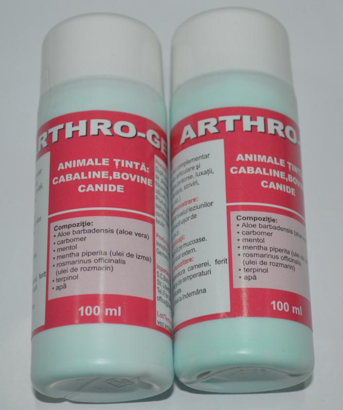 ARTHRO GEL, 100 ml