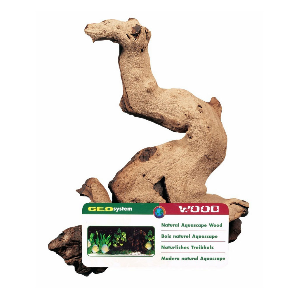Mopani medium
