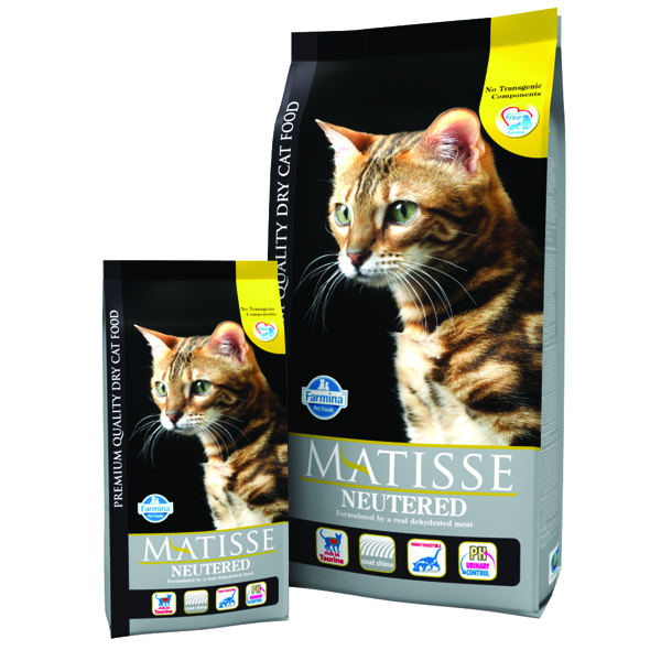 Matisse cat neutered 1.5 kg