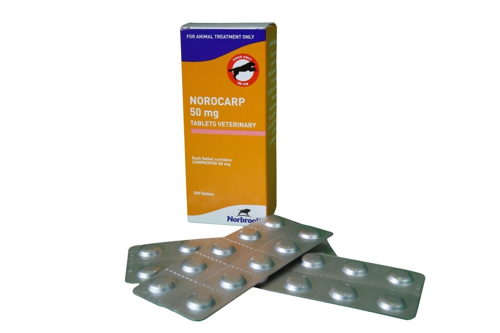 Norocarp 100 tab x 50 mg Norbrook imagine 2022
