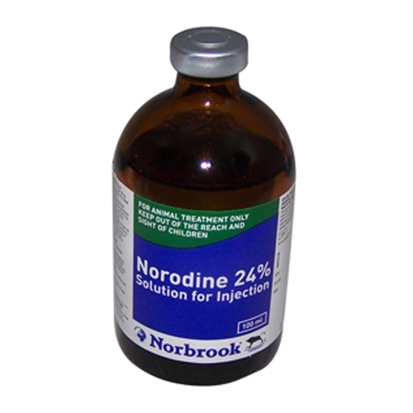 Norodin 24 100 ml