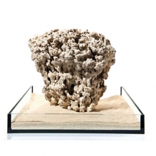 Piatra recif uscata/Reef stone/pret pe kg Kronstil