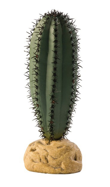 Exo Terra Planta Saguaro Cactus Pt2981 imagine
