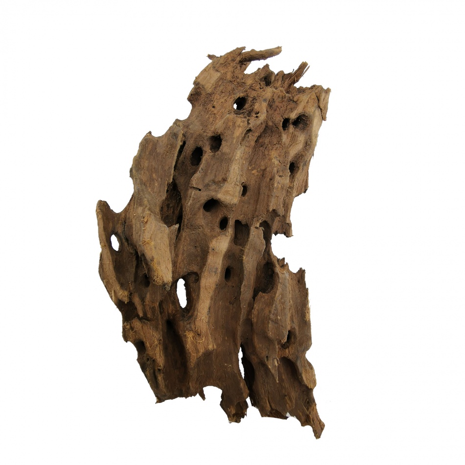 Radacina Dragon Wood / pret kg Kronstil Aquaristik