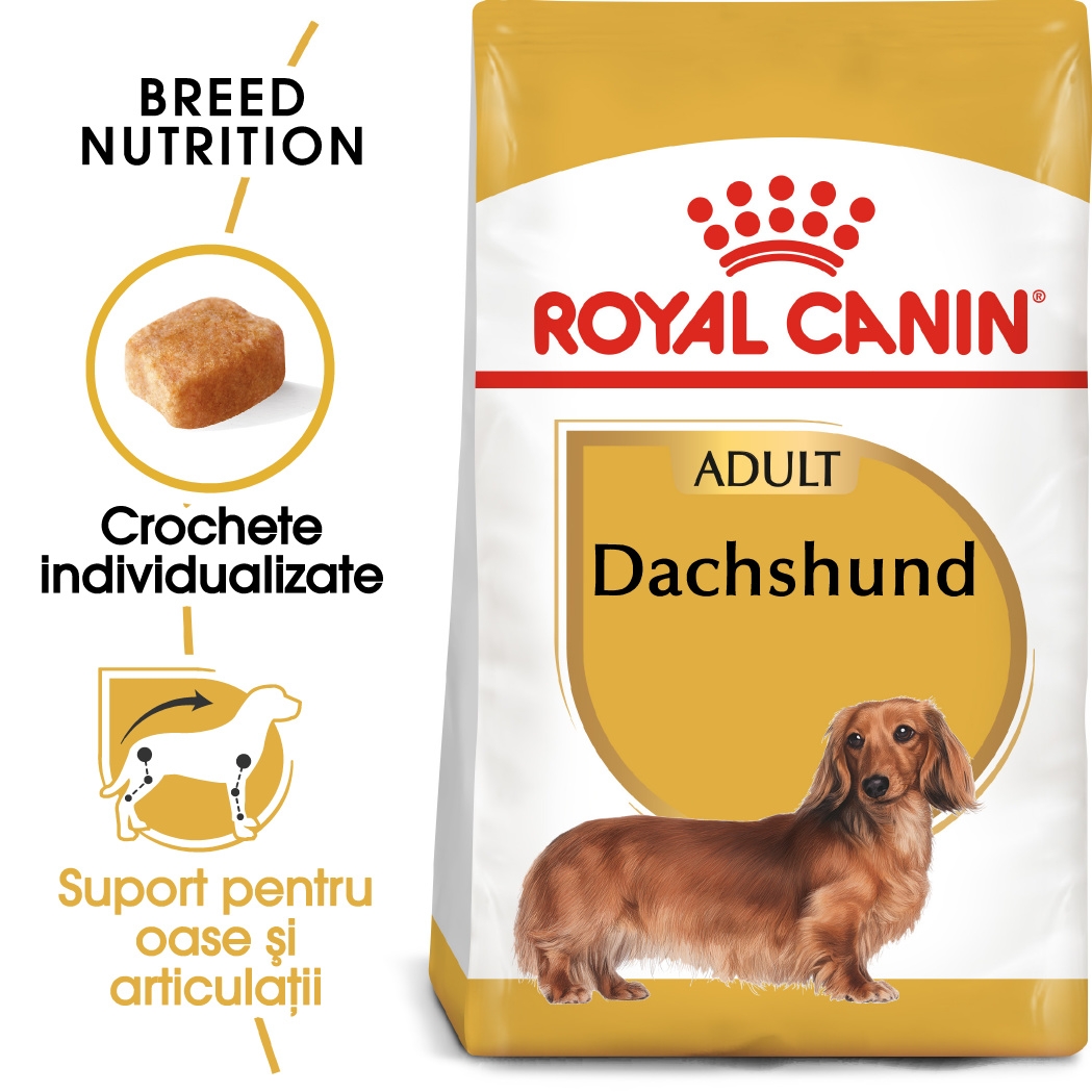 Royal Canin Dachshund Adult hrana uscata caine Teckel petmart.ro imagine 2022