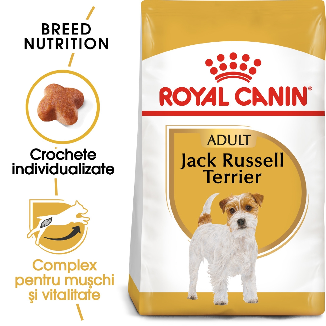 Royal Canin Jack Russell Adult, 1.5 kg petmart.ro