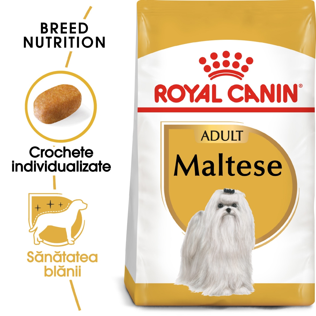 Royal Canin Maltese Adult hrana uscata caine petmart.ro imagine 2022