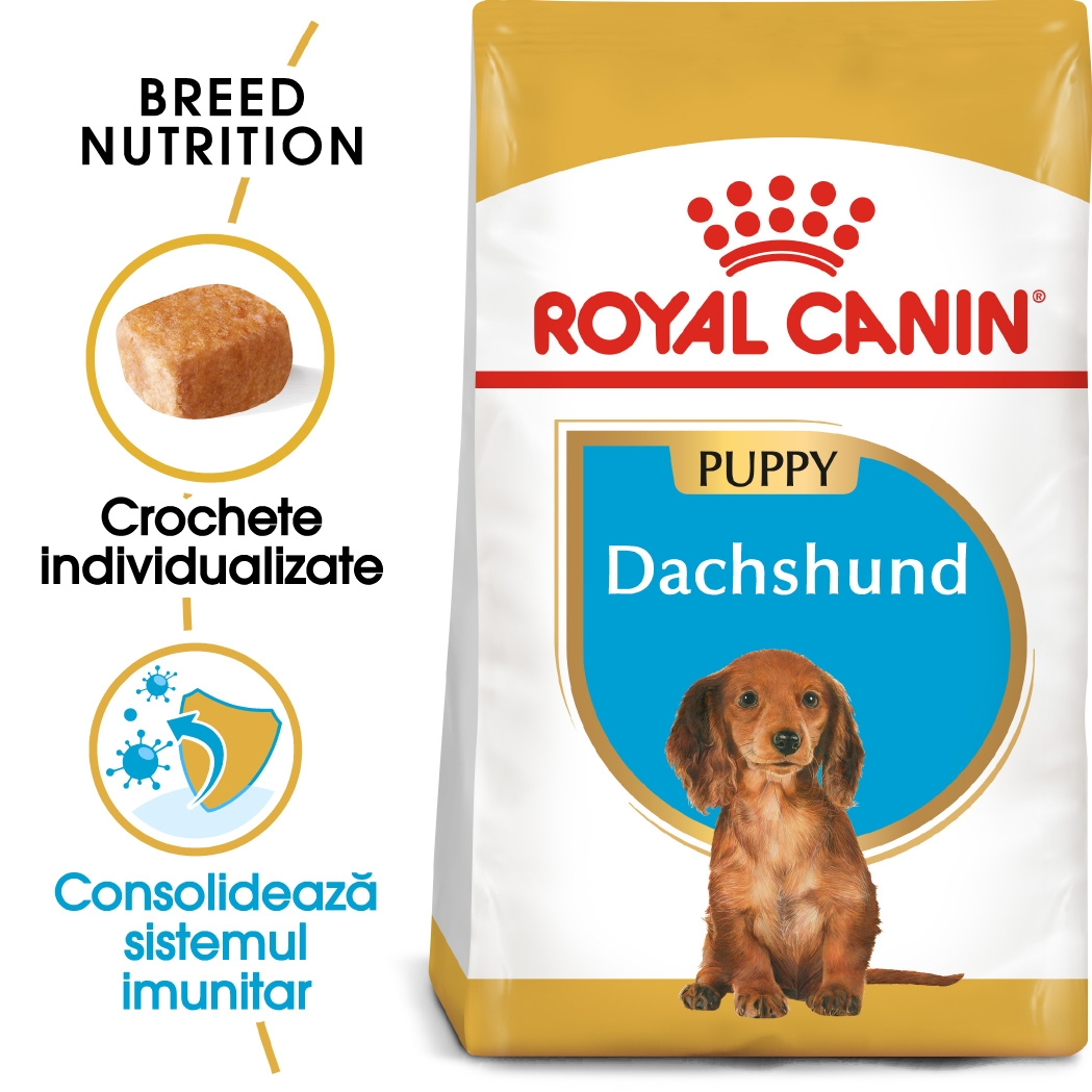 Royal Canin Dachshund Puppy hrana uscata caine junior Teckel, 1.5 kg petmart