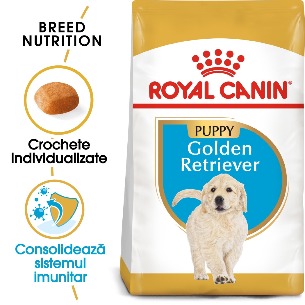Royal Canin Golden Retriever Puppy hrana uscata caine junior petmart.ro imagine 2022