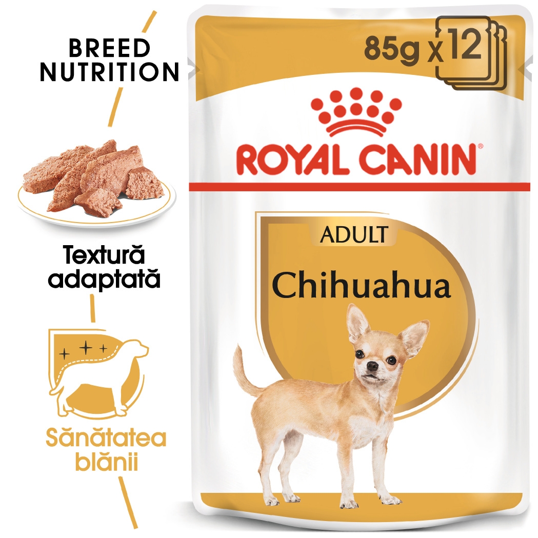 Royal Canin Chihuahua Adult, 12 x 85 g petmart.ro imagine 2022