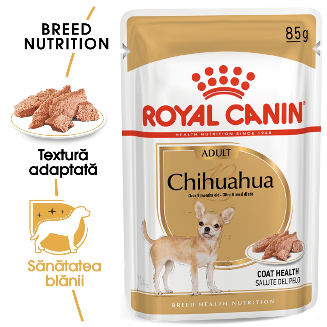 Royal Canin Chihuahua Adult, 1 plic x 85 g petmart.ro