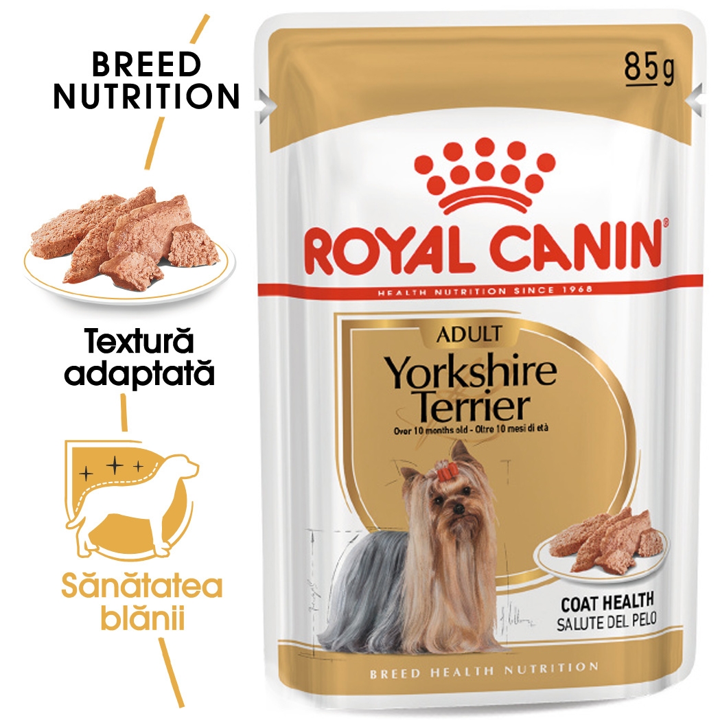 Royal Canin Yorkshire Terrier Adult (pate), 1 plic x 85 g petmart.ro