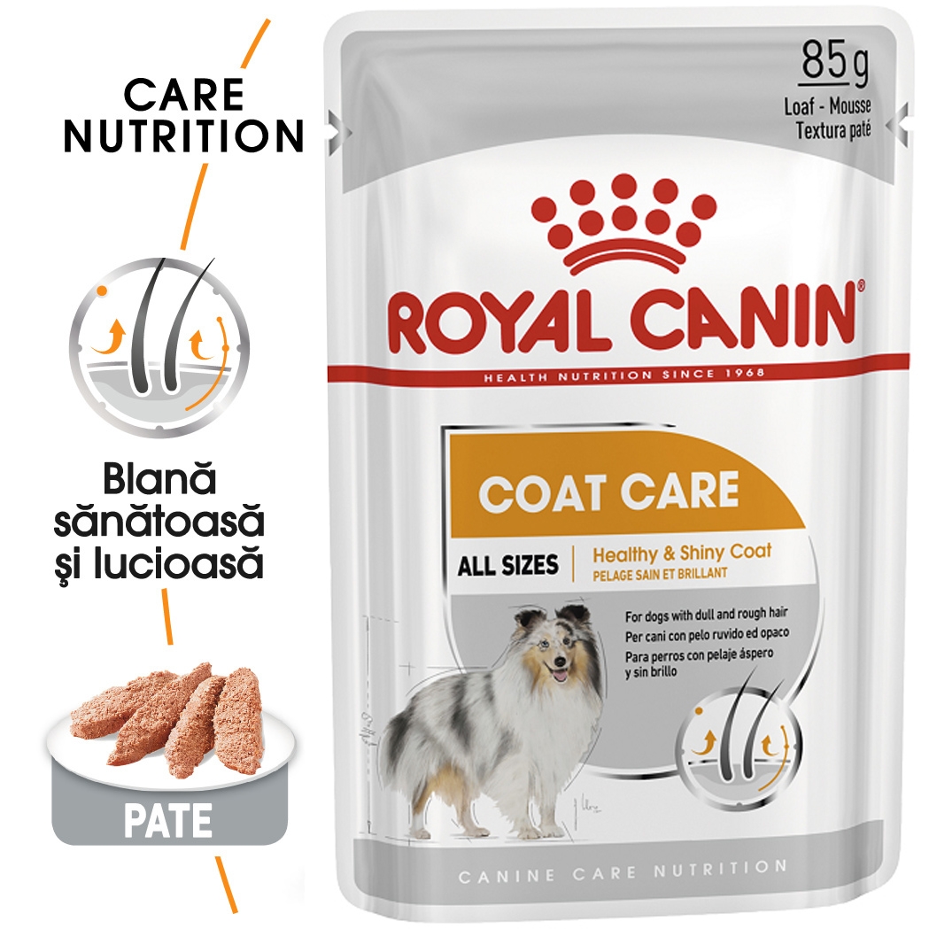 Royal Canin Coat Care Adult hrana umeda caine, blana sanatoasa si lucioasa (pate), 85 g petmart.ro