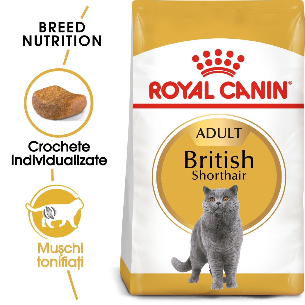 Royal Canin British Shorthair Adult hrana uscata pisica petmart.ro imagine 2022