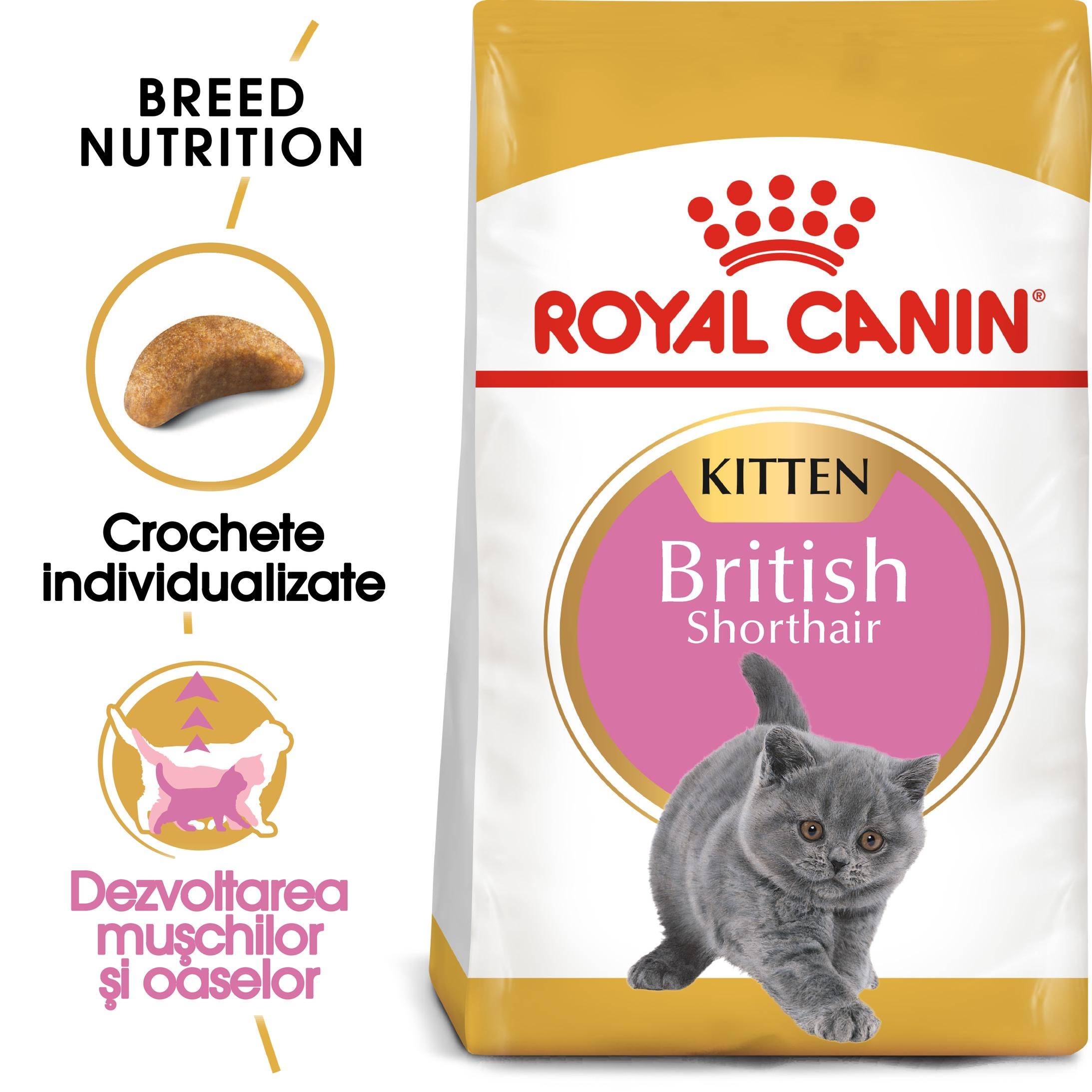 Royal Canin British Shorthair Kitten hrana uscata pisica junior petmart.ro imagine 2022