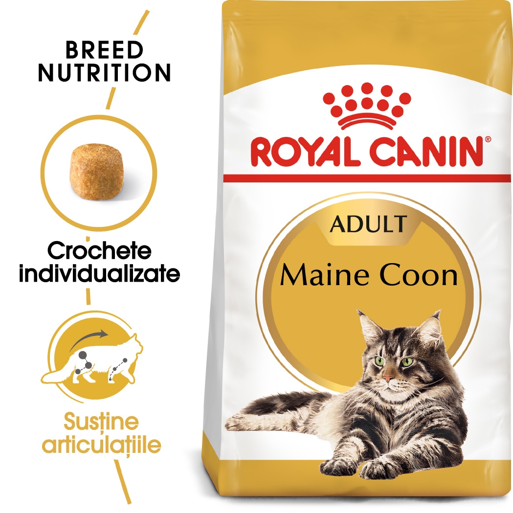 Royal Canin Maine Coon Adult hrana uscata pisica petmart.ro imagine 2022