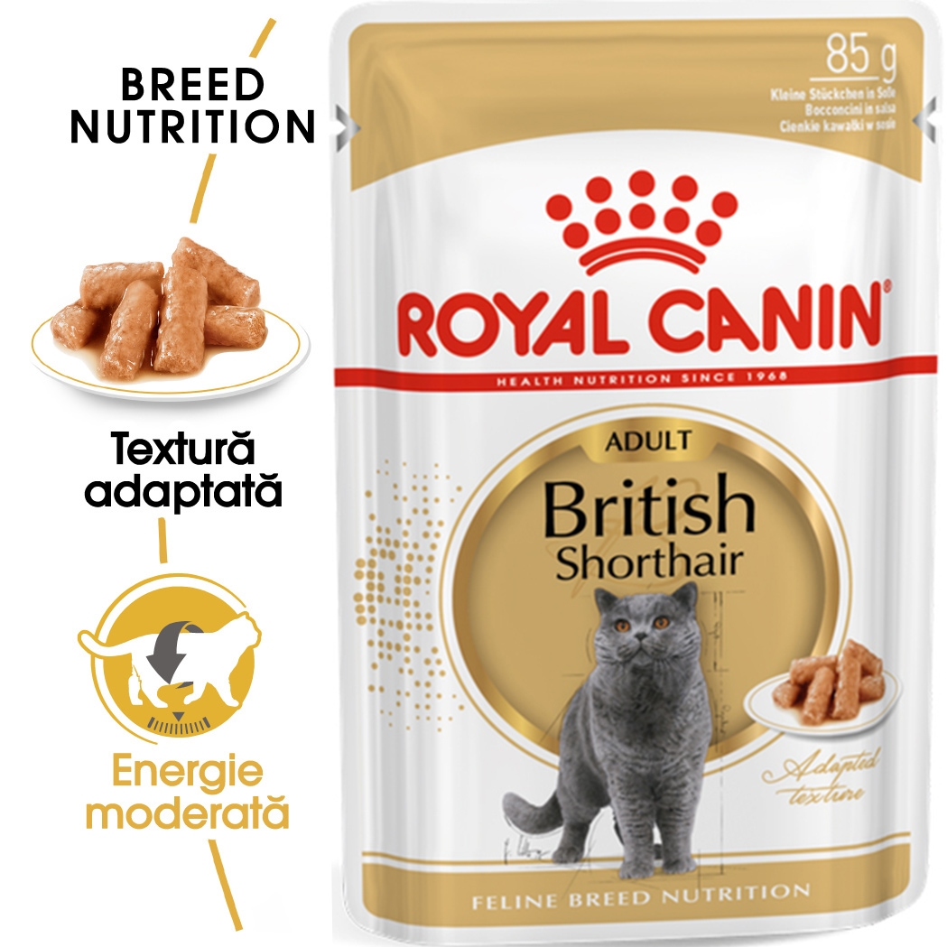 Royal Canin British Shorthair Adult hrana umeda pisica (in sos), 85 g petmart.ro