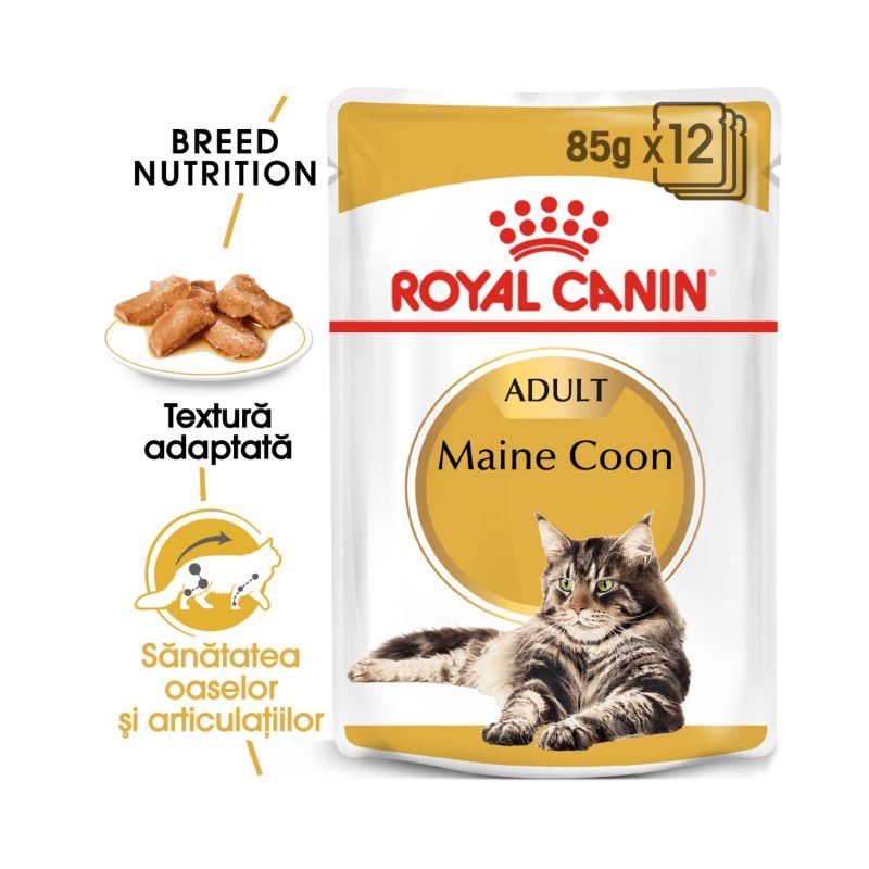 Royal canin maine coon, 1 plic x 85 g 