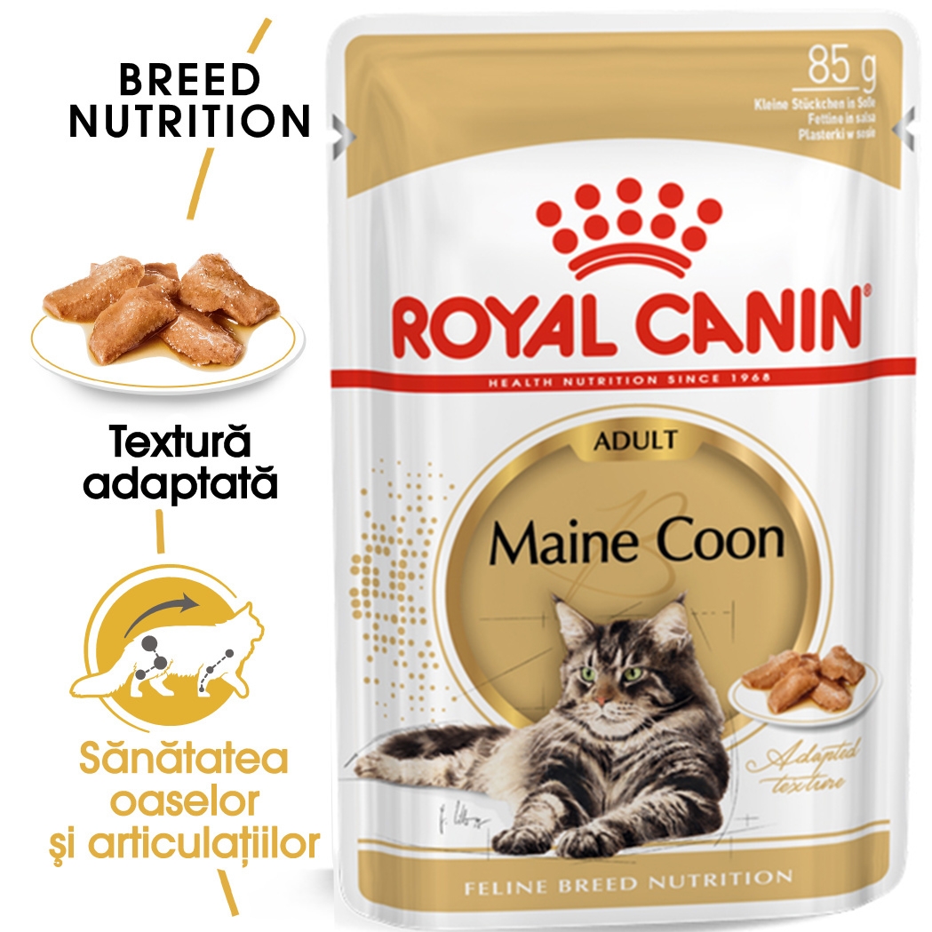 Royal Canin Maine Coon Adult hrana umeda pisica (in sos), 85 g petmart.ro