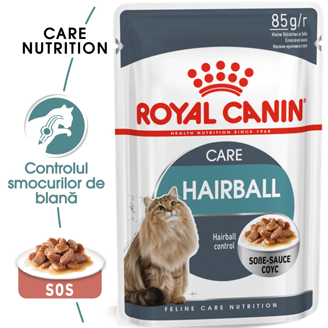 Royal Canin Hairball Care Adult hrana umeda pisica, limitarea ghemurilor blanii (in sos), 85 g petmart.ro imagine 2022