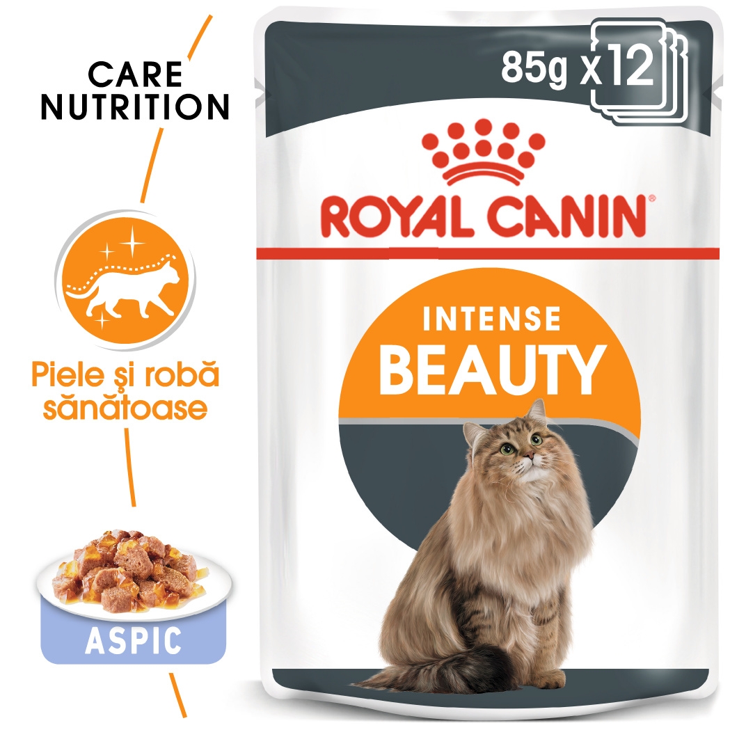 Royal Canin Intense Beauty Care Adult hrana umeda pisica, piele/blana sanatoase (aspic), 12 x 85 g petmart.ro imagine 2022
