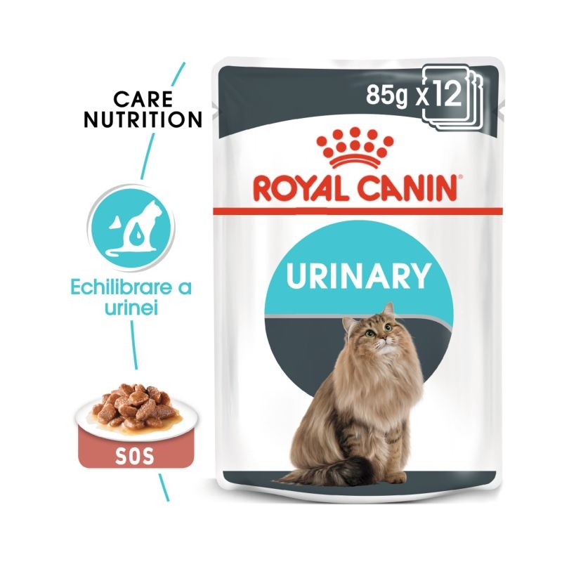 Royal canin urinary care in gravy, 12 plicuri x 85 g