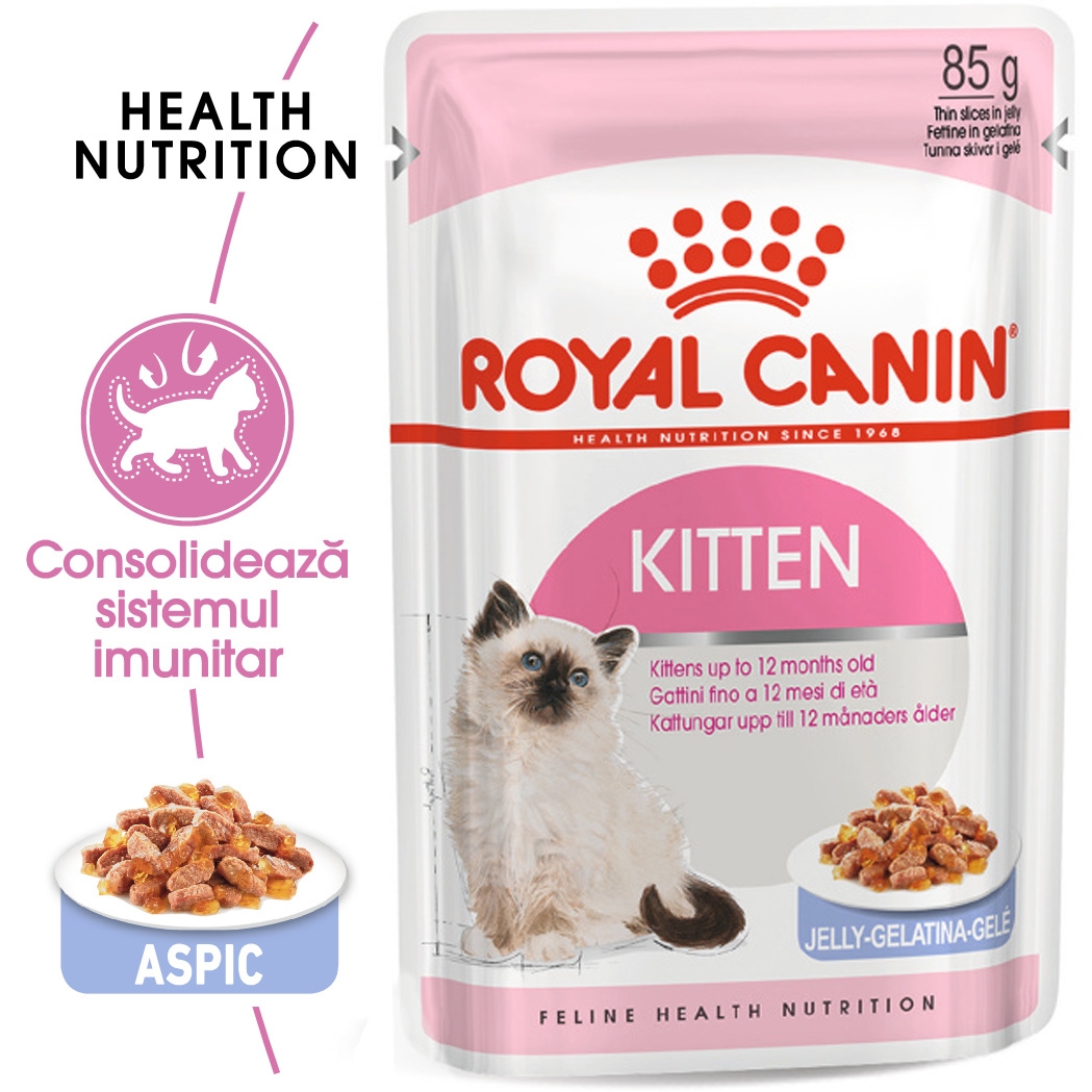 Royal Canin Kitten hrana umeda pisica (aspic), 85 g petmart.ro