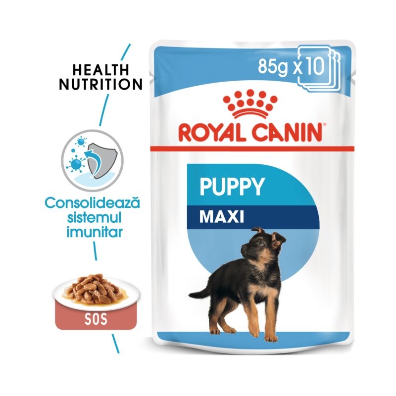 Royal canin wet maxi puppy, 1 plic x 140 g