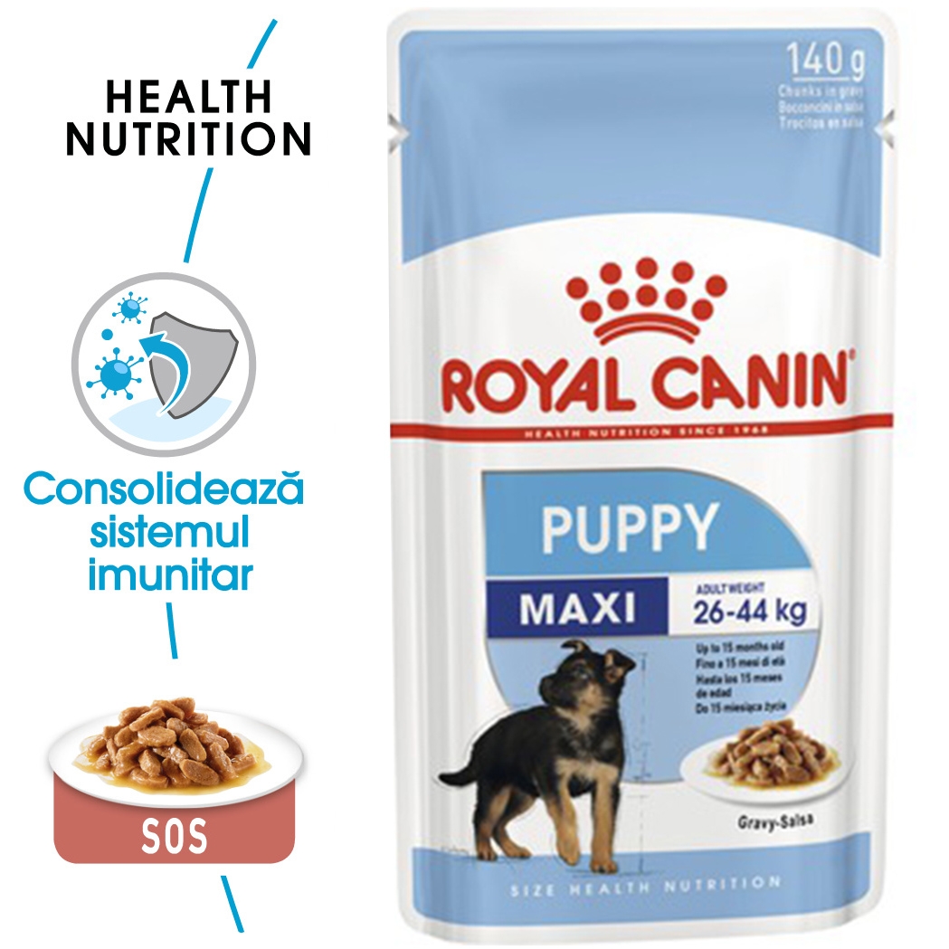 Royal Canin Maxi Puppy hrana umeda caine junior (in sos), 140 g petmart.ro