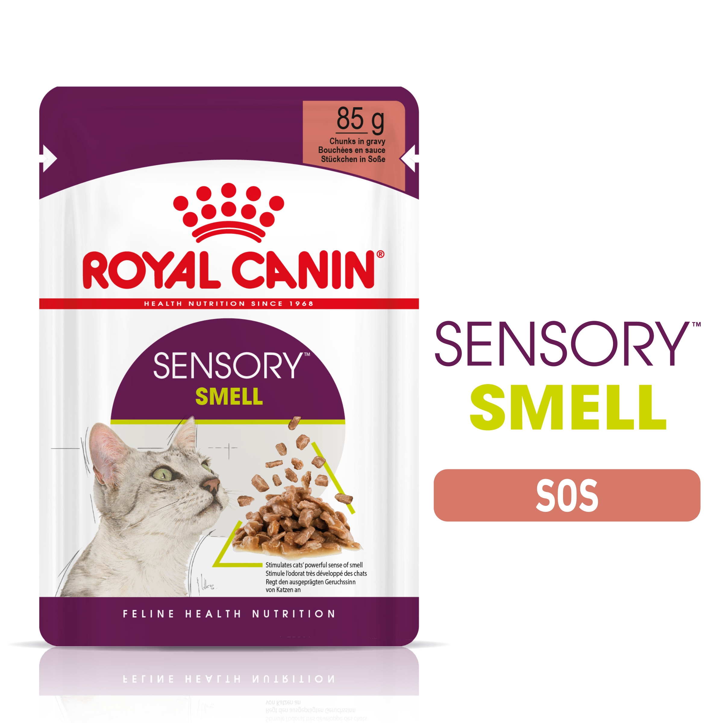 Royal Canin Sensory Smell, hrana umeda pisica (in sos), 12×85 g petmart.ro imagine 2022
