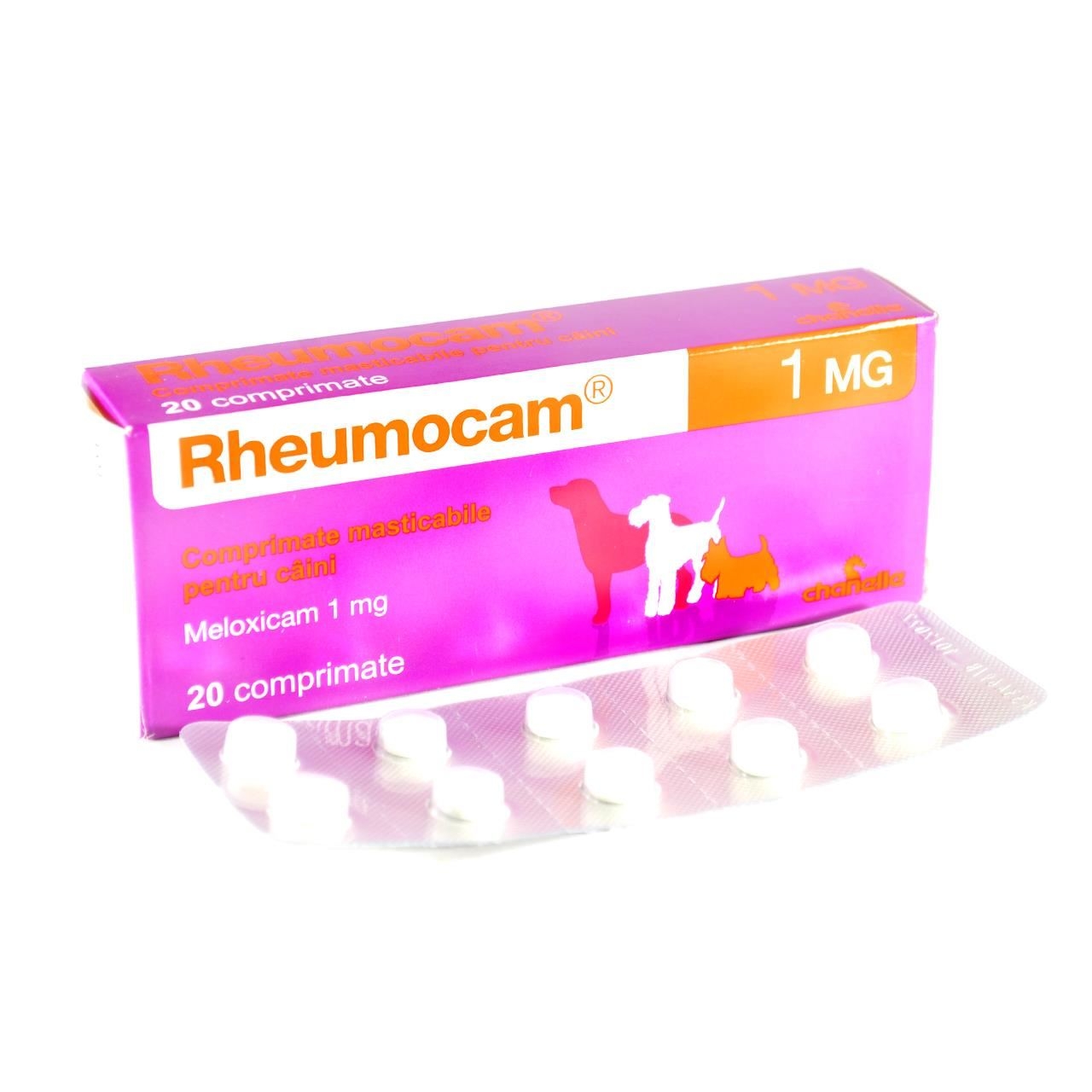 Rheumocam, 1 mg/ 20 comprimate Chanelle imagine 2022
