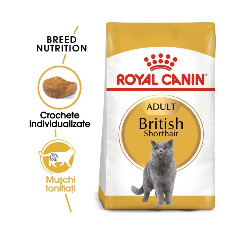 Royal canin british shorthair adult