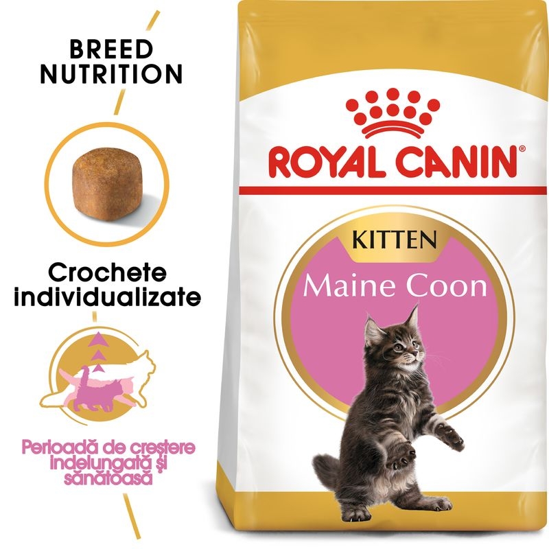 Royal canin maine coon kitten
