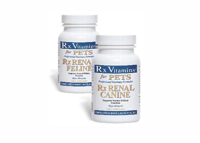 Rx renal caine 120 capsule