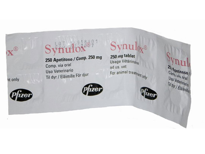 Synulox 250 mg 10 tablete imagine