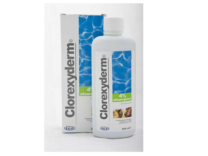 Clorexyderm shampoo 4%, 250 ml