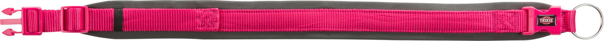Zgarda premium captusit 56-62 cm/25mm fucsia/grafit 1988611