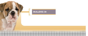 Royal Canin Bulldog Junior - Hrana Uscata Caini Juniori din Rasa Bulldog